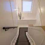 Zwei Löwen