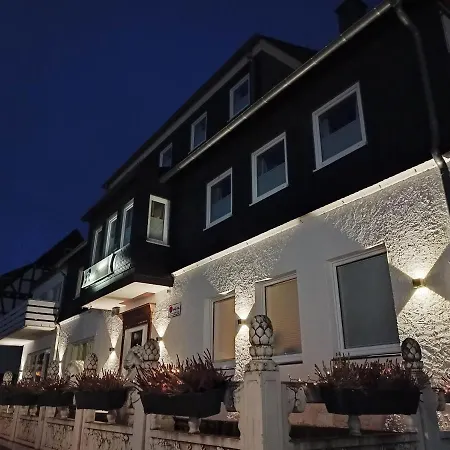 Zwei Loewen Apartamento Winterberg