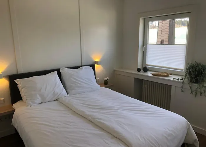 Zwei Loewen Apartament