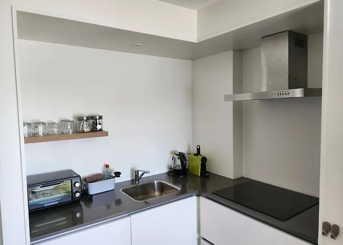 Zwei Loewen Apartment