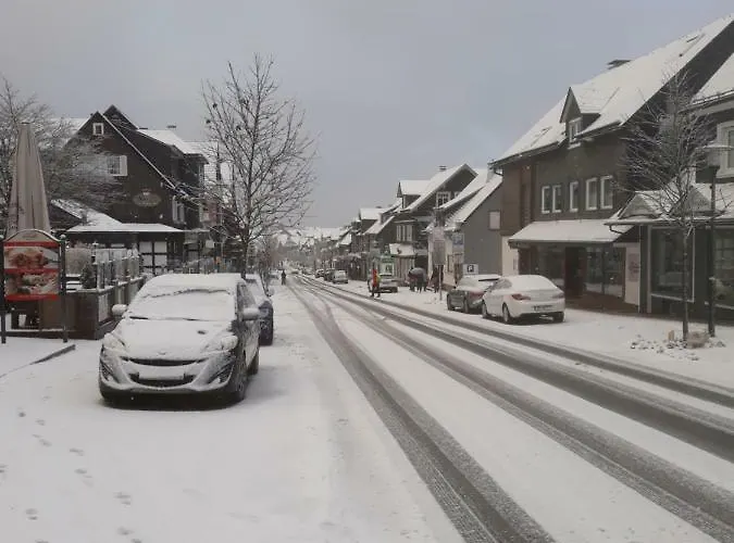 Zwei Loewen Apartment *